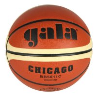 Basketbalový míč Gala Chicago BB5011C vel.5