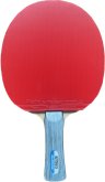 Pálka na stolní tenis Butterfly Allround New + Flextra